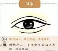 象眼是什么样子的眼睛(1)