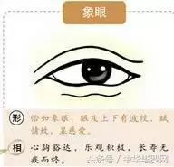 象眼是什么样子的眼睛(2)