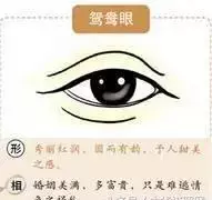象眼是什么样子的眼睛(3)