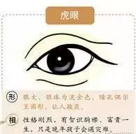 象眼是什么样子的眼睛(4)