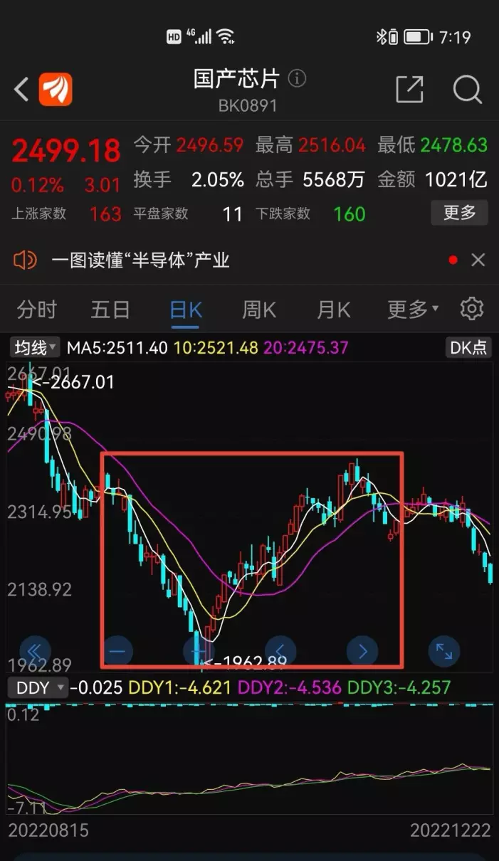 股票中的dd y是什么意思(1)