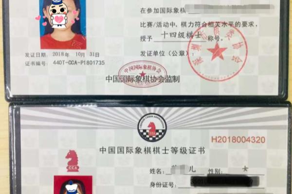象棋的业余棋士的级别是什么
