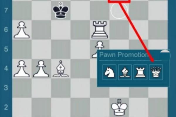 国际象棋王不能送吃是什么意思
