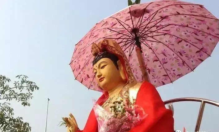 张婷婷在哪些比赛中获胜(5)