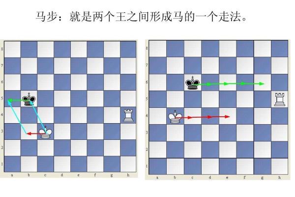 象棋对象是什么意思.