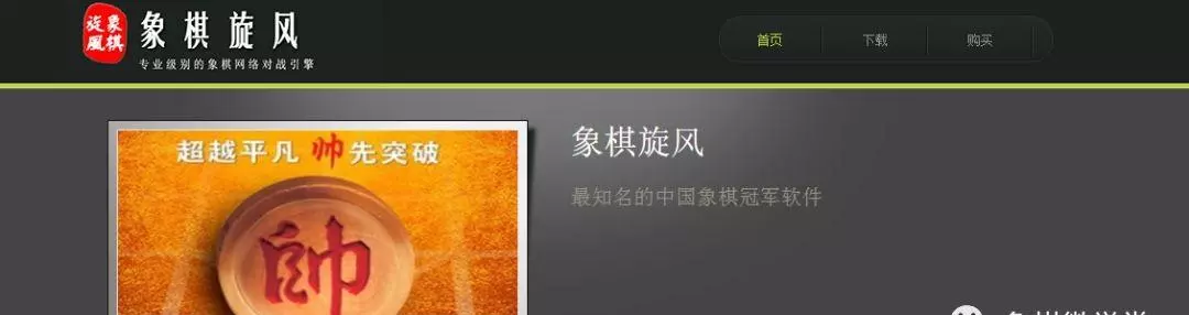 王天一用的什么象棋软件(2)