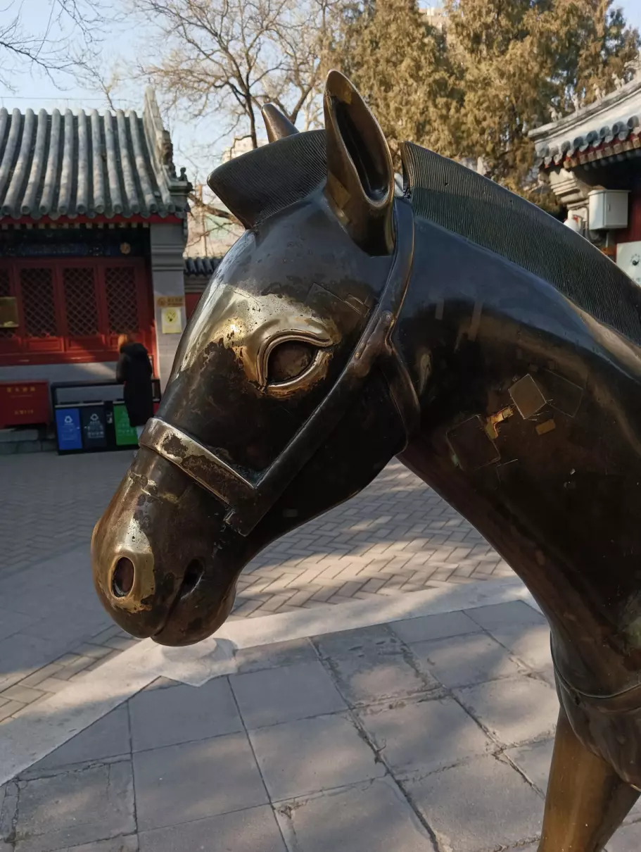 千里独行特是什么意思(1)