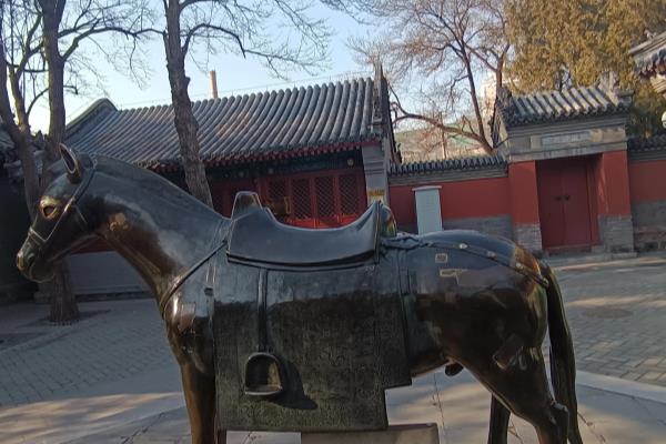 千里独行特是什么意思