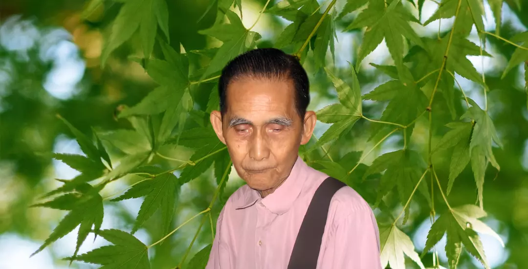 历届象棋个人赛冠军排名(5)