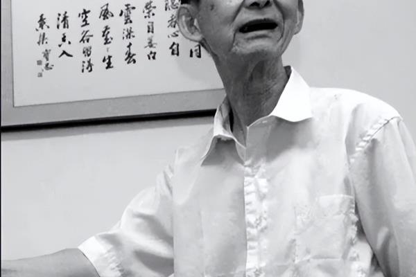 杨官璘放到现在什么水平