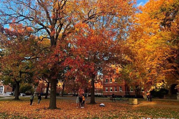 罗切斯特大学usnews世界排名